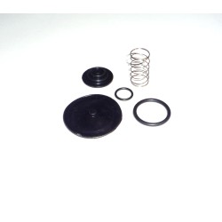 Σετ Επισκευης Ρουμπινετου Βενζινης Honda CB-CBR-XL