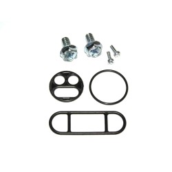 Σετ Επισκευης Ρουμπινετου Βενζινης Kaw-Suz-Yamaha