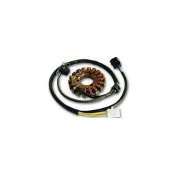 Πηνια Suzuki DRZ 400